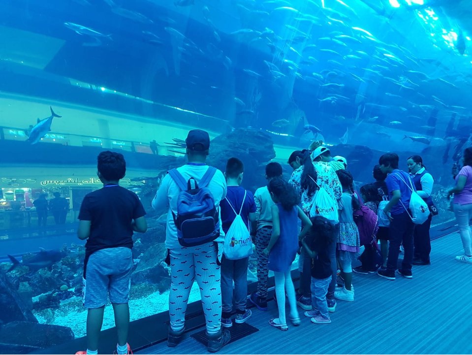 Dubai Underwater Zoo and Aquarium : All you Need to Know