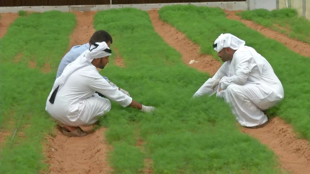 uae agriculture competation