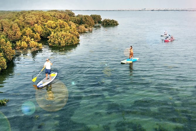 mangrove beach umm al quwain 