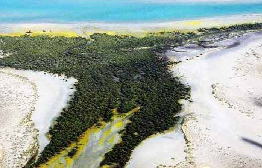 al-sinniyah-island