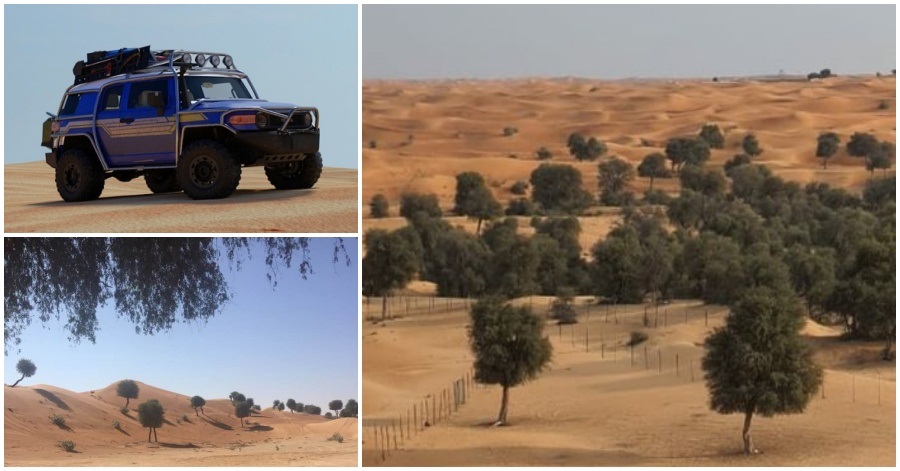 Al Hayer Forest Featured